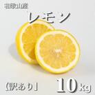 和歌山産　レモン　家庭用　10kg　サイズS～4Lの混合　【訳あり】