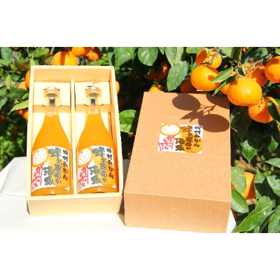 田村みかん　蜂久農園の清見がっつりしぼったでぇ　きよみジュース(720ml×2)【美浜町】
