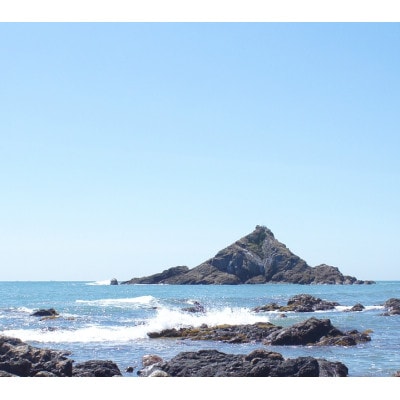 【さとふる限定】和歌山美浜町産 釜炊き・天然塩 「逢母の天塩」 600gセット