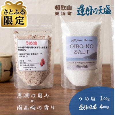 【さとふる限定】うめ塩と「逢母の天塩」の天然塩セット
