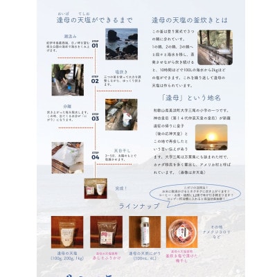 【さとふる限定】うめ塩と「逢母の天塩」の天然塩セット