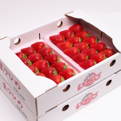 <1月発送>朝摘み完熟まりひめ約1.2kg(300g前後×4トレイ)【こだわりの土耕栽培のいちご】