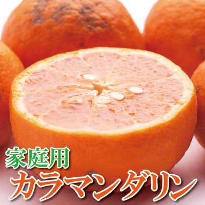 ＜4月より発送＞家庭用カラマンダリン2.5kg+75g(傷み補償分)【訳あり】【春柑橘】
