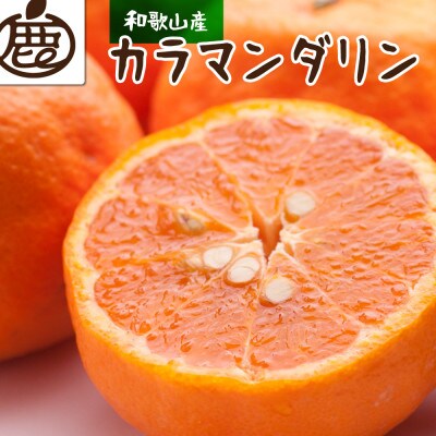 ＜4月より発送＞厳選 カラマンダリン3kg+90g(傷み補償分)【南津海・なつみ】【希少な春柑橘】