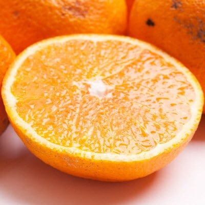 家庭用 不知火2.5kg+250g(傷み補償分)【デコポンと同品種・人気の春みかん】【訳あり】