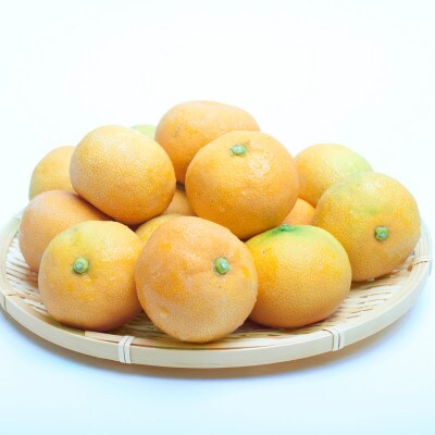 ハウス栽培温室みかん1kg+250g(傷み補償分)【有田みかん】