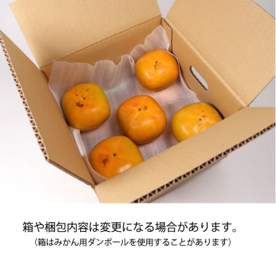 家庭用 たねなし柿1kg【訳あり】【刀根早生・平核無柿(ひらたねなしかき)】