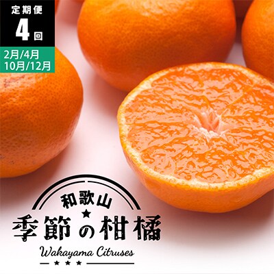 【発送月固定定期便】季節の柑橘定期便A【フルーツ定期便】【和歌山県有田】全4回