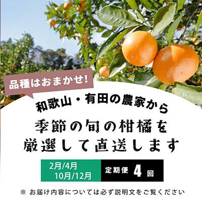 【発送月固定定期便】季節の柑橘定期便B【フルーツ定期便】【和歌山県有田】全4回