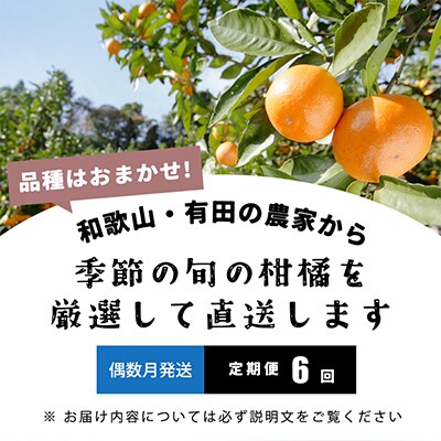 【発送月固定定期便】季節の柑橘定期便B【フルーツ定期便】【和歌山県有田】全6回