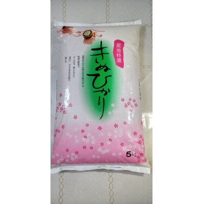 【令和5年産】「発送日前日精米」きぬひかり　精米　5kg×2袋