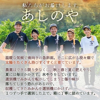 【11月より順次発送】まごころ手選別　和歌山産　有田みかん 2kg 1箱 (2S～Lサイズ混合)