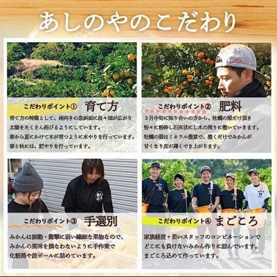 【11月より順次発送】まごころ手選別　和歌山産　有田みかん 2kg 1箱 (2S～Lサイズ混合)