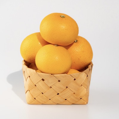 【まごころ手選別】有田のはっさく・10kg大玉(2L～4L)