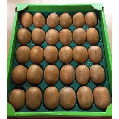 【まごころ手選別】和歌山産　キウイフルーツ　約3.6kg(サイズ混合)　秀品