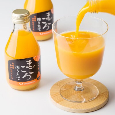 【まごころ搾りたて】有田みかんジュース100%　180ml　6本