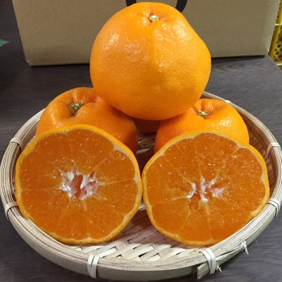 【まごころ手選別】和歌山産有田のはるみ　約6kg(家庭用)　