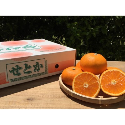 【まごころ手選別】和歌山産　せとか　化粧箱入り　(13～15玉)