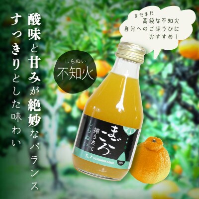 【まごころ搾りたて】不知火　100%ジュース　180ml　15本