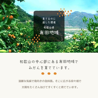 【まごころ搾りたて】不知火　100%ジュース　180ml　15本
