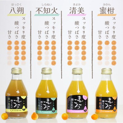 【まごころ搾りたて】不知火　100%ジュース　180ml　15本