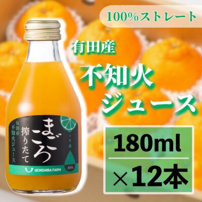 【まごころ搾りたて】不知火　100%ジュース　180ml　12本