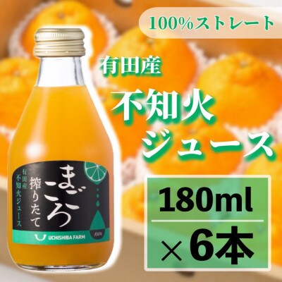 【まごころ搾りたて】不知火　100%ジュース　180ml　6本