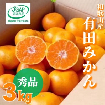 先行受付2026年11月より順次発送【まごころ手選別】有田みかん3kg(2S～Lサイズ混合)