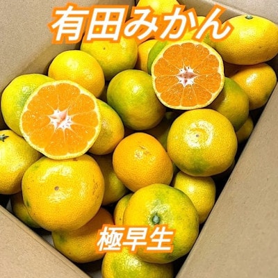 10月中旬より順次発送【まごころ手選別】和歌山産 有田みかん(極早生)3kg 1箱(2S～L混合)