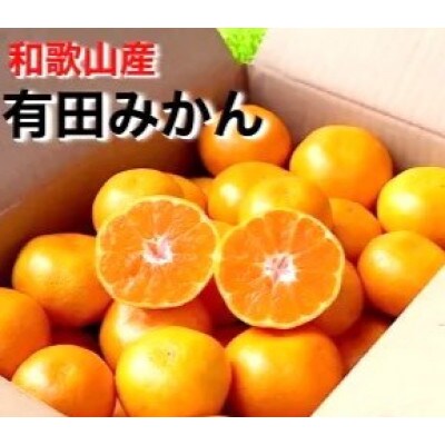 先行受付2026年11月より順次発送【まごころ手選別】有田みかん5kg(2S～Lサイズ混合)