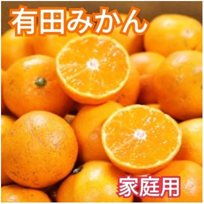 先行受付2026年11月より順次発送【まごころ手選別】有田みかん2kg家庭用(2S～2Lサイズ混合)