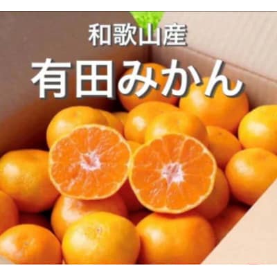 先行受付2026年11月より順次発送【まごころ手選別】有田みかん2kg(2S～Lサイズ混合)