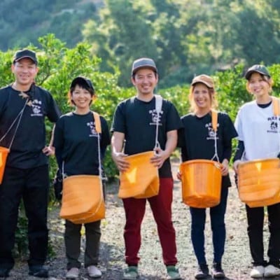 先行受付2026年11月より順次発送【まごころ手選別】有田みかん2kg(2S～Lサイズ混合)