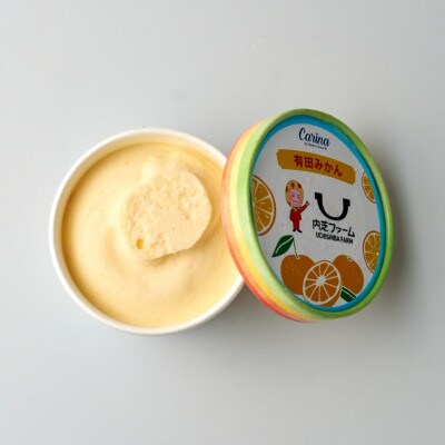 有田みかんジェラートアイス　4個入り