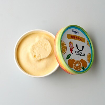 有田みかんジェラートアイス　6個入り