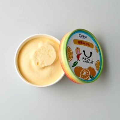 有田みかんジェラートアイス　8個入り