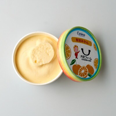 有田みかんジェラートアイス　12個入り