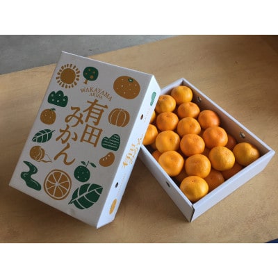 【2026年11月上旬より順次発送】　有田みかん 化粧箱　約5kg　Sサイズ　【まごころ手選別】