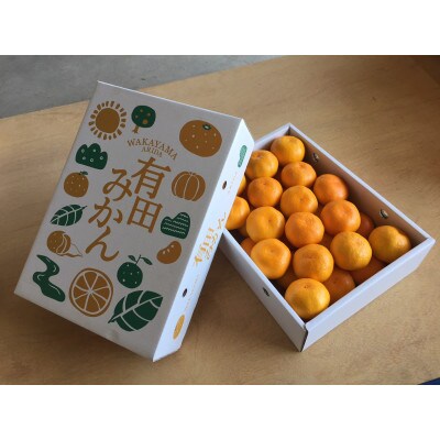 【2026年11月上旬より順次発送】　有田みかん 化粧箱　約5kg　Lサイズ　【まごころ手選別】