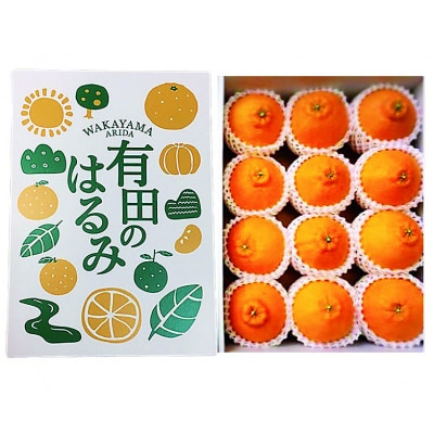 【まごころ手選別】和歌山県産　はるみ　化粧箱　2Lサイズ12個入【2027年1月下旬より順次発送】