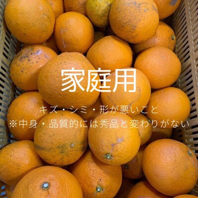 【2027年3月上旬より順次発送】和歌山県産清見　約5kg　家庭用　(サイズ混合)【まごころ手選別】