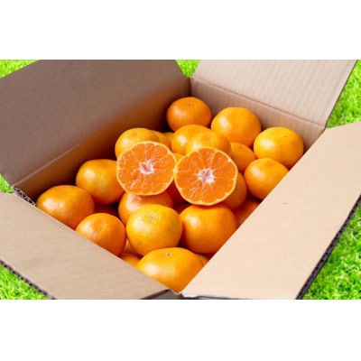 【先行受付2026年11月より順次発送】有田みかん　1kg(S～Lサイズ混合)【まごころ手選別】