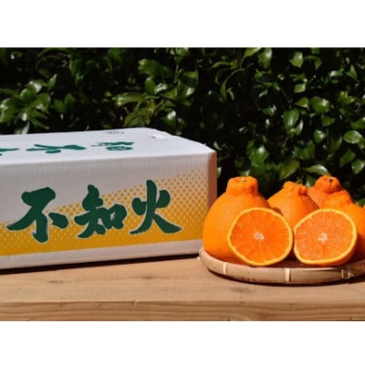 【2027年2月上旬より順次発送】和歌山産　不知火　(デコポン)　約4kg　【まごころ手選別】