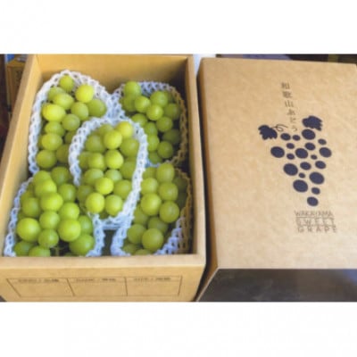 【大人気】シャインマスカット約2kg(4～5房)★8月上旬から8月下旬順次発送★