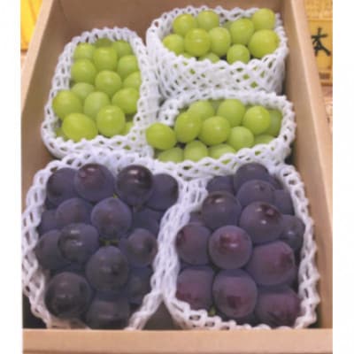 【大人気ぶどうセット約2kg入】シャイン&ピオーネ★8月上旬から8月下旬順次発送★