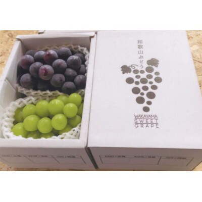 【大人気ぶどうセット約1kg入】シャイン&ピオーネ★8月上旬から8月下旬順次発送★