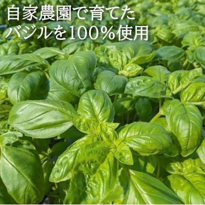 濃厚・無添加　バジルソース(ジェノベーゼソース)　瓶　100g×7本