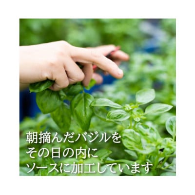 濃厚・無添加　バジルソース(ジェノベーゼソース)　瓶　100g×5本