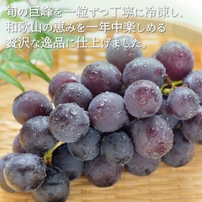 旬の美味しさそのまま!シャリッと、じゅわっと冷凍巨峰(ぶどう)　200g