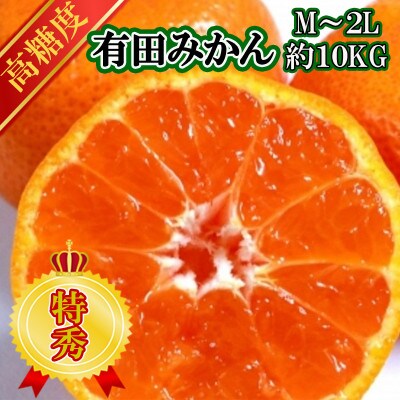 有田みかん【特秀品M～2L 高糖度】約10kg!　2025年10月以降順次発送